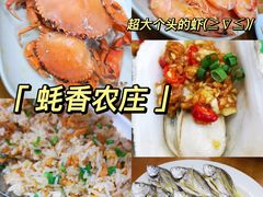 烤生蚝-蚝乡农庄(铁涌赤岸店)