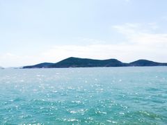 -枸杞岛