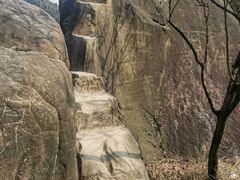 -南山植物园