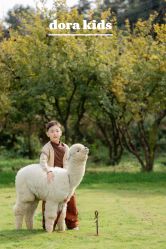 -DORA kids 朵拉儿童摄影花园店