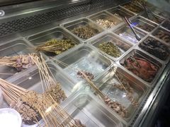 -老号尤兔头(幸福店)