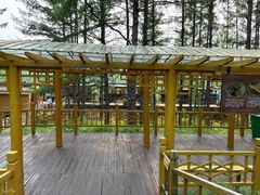 -莫尔道嘎国家森林公园