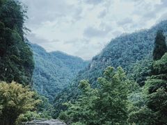 -刘伯温故里景区百丈漈