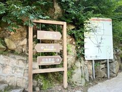 -大岭沟猕猴桃谷风景区