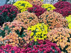 -杭州植物园
