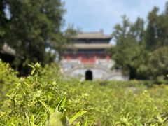 -洛阳白马寺