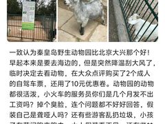 -北京市海淀区翠微小学