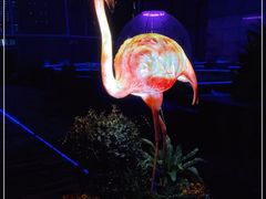 -异次元·LIGHT HOUSE·美食酒廊·休闲露台