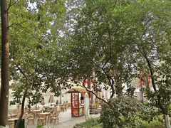 -成都市活水公园