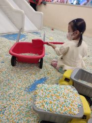 -万达宝贝王(长春红旗街店)