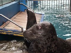 -成都浩海立方海洋公园