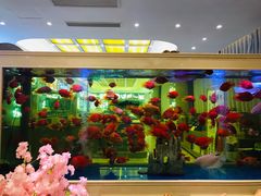 -骏莱海鲜鱼港(五角场店)