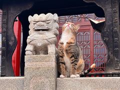 -宝通禅寺