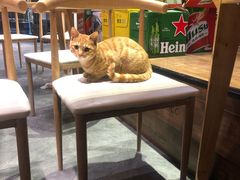 -聚汇三少·龙虾·中餐厅(莫邪路新天地店)