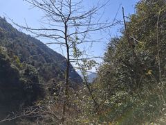 -夏霖九天银瀑风景区