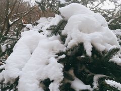 -少华山国家森林公园