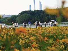 -海珠湖公园