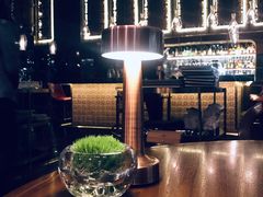 -Tivano意大利餐厅(成都居舍酒店)