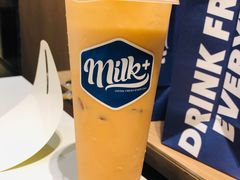 芝士拉泰式奶茶-milkplus·泰式奶茶(较场东路店)