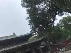 -晋祠公园