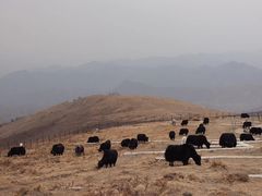 -北京灵山风景区