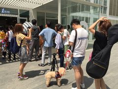 -1点点(银座和谐广场店)