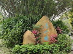-晓港公园