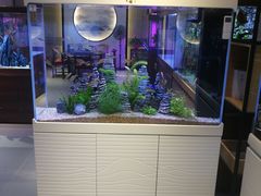 -保定市花鸟鱼虫市场