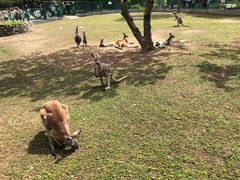 -西安秦岭野生动物园