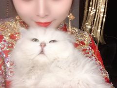 -大洋晶典(东街店)