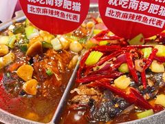 -南锣肥猫·麻辣烤鱼·15年现烤现卖(通州领展店)