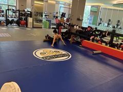 -章鱼健身 Octopus