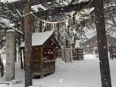 -北海道神宫