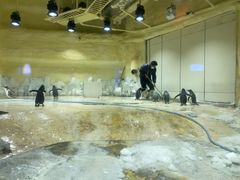 -威海华夏城景区