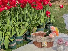 -HERRE·FARM 赫尔露营农场·团建聚会包场