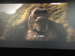 -CGV影城(金银潭激光IMAX店)