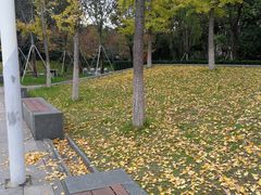 -玉山公园