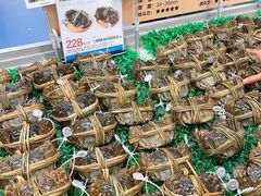 -盒马X会员店(上海森兰商都店)