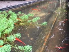 -箱美术馆私房菜(水晶郦城店)