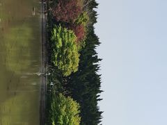 -嘉定紫藤园