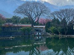 -崇圣寺三塔文化旅游区