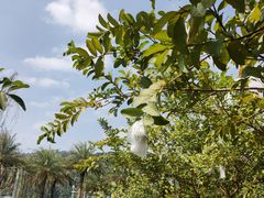 -中国移动南方基地