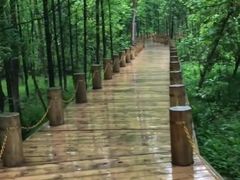 -桤木河湿地公园