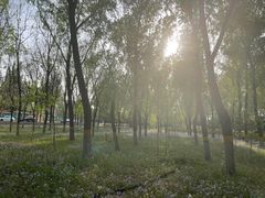 -东升八家郊野公园
