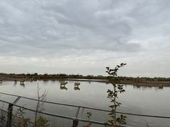 -宁波杭州湾国家湿地公园