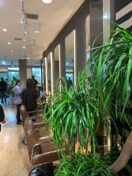 -意廊 Hair Salon