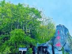 -青峰峡国家森林公园