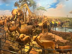 -陕西自然博物馆