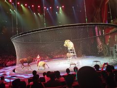 -珠海横琴长隆《卡卡虎奇遇记》