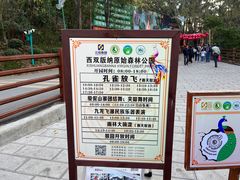 -西双版纳原始森林公园